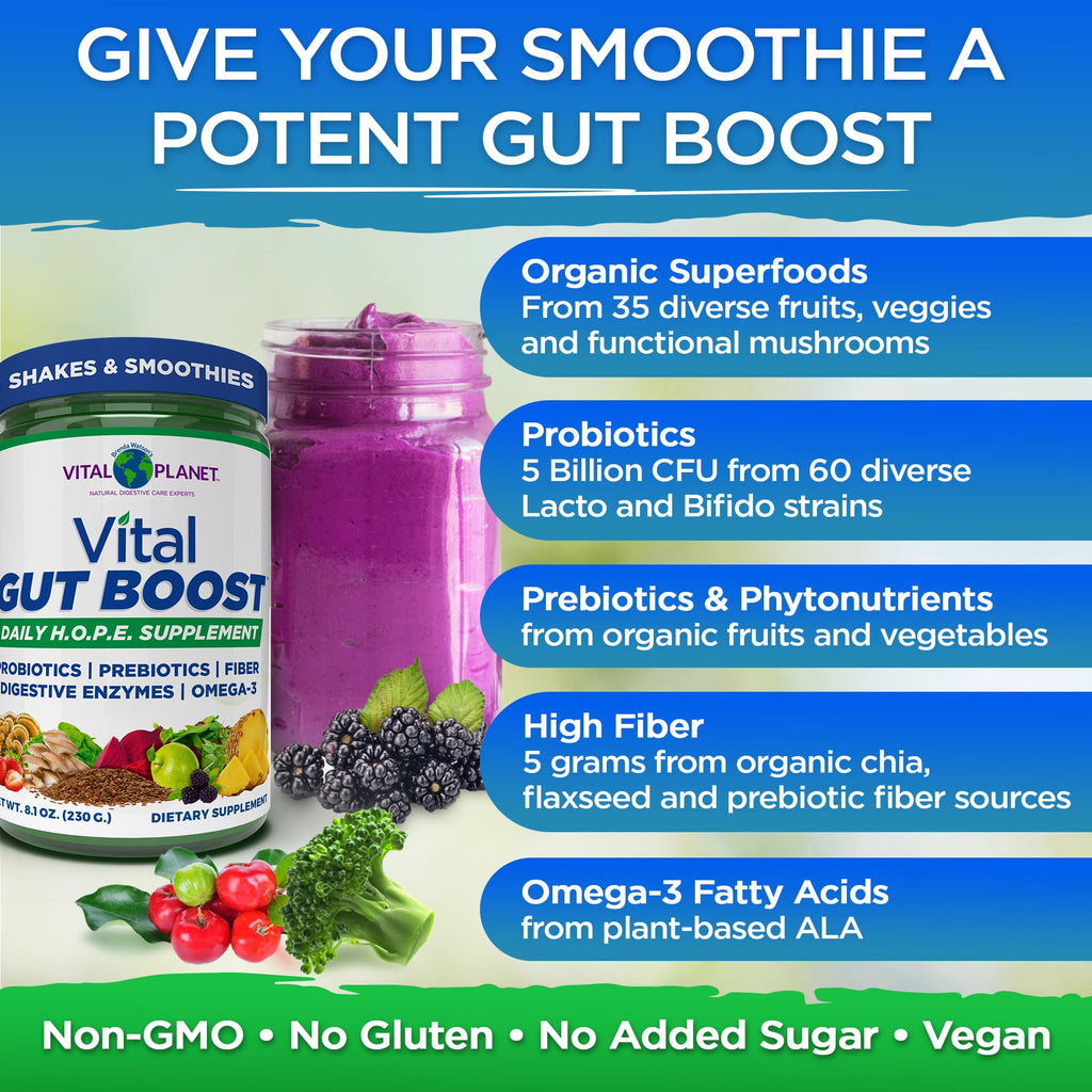 Vital Planet Vital Gut Boost Powder - 30 Servings - image 4