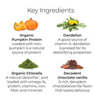 Hush & Hush PlantYourDay Vegan Protein + Supergreens Powder - 14.18 oz - image 4