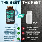 WILD FUEL Digestive Enzymes with Probiotics and Prebiotics Parent