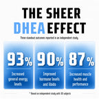 Sheer Strength Labs DHEA 100mg Supplement - 60 Capsules - image 3