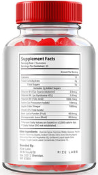 rize labs Destiny Keto+ACV Gummies for Weight Loss - 120 Gummies - image 2