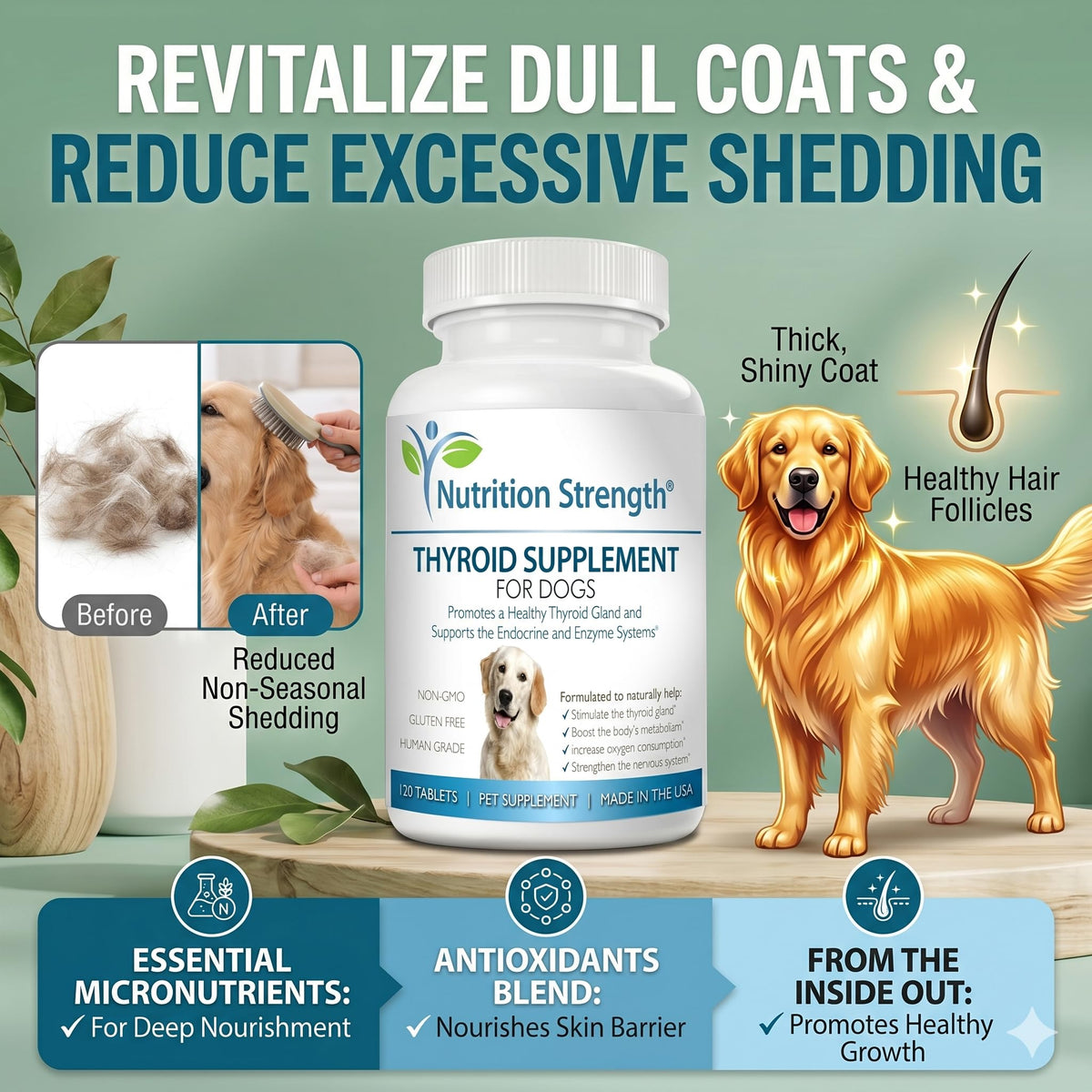 Nutrition Strength Thyroid Supplement for Dogs with Bladderwrack - 120 Tablets - image 5