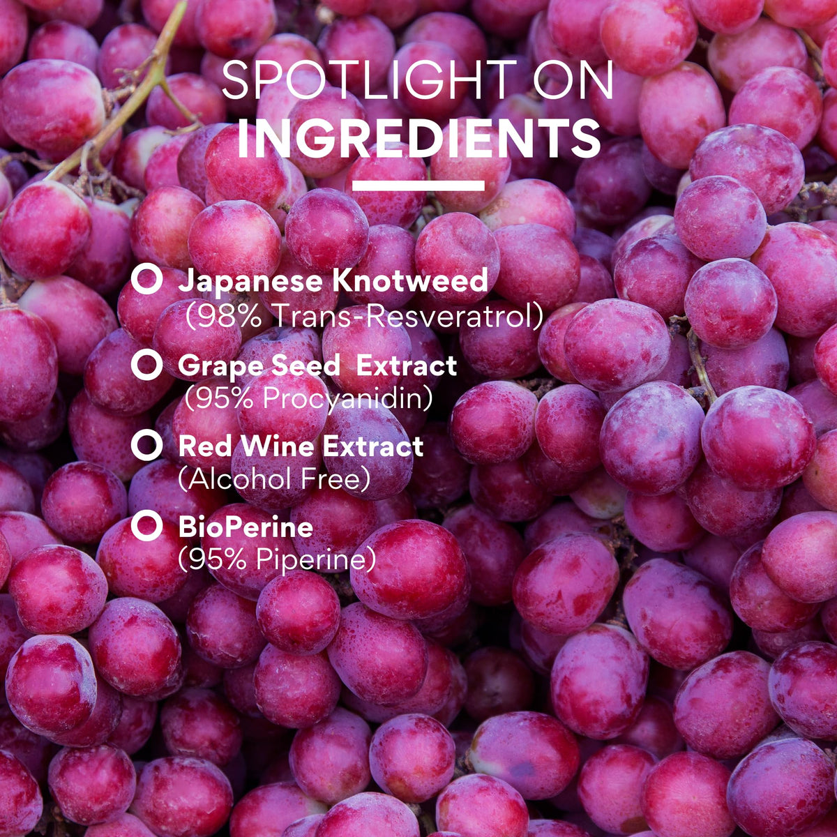 Research Verified Resveratrol