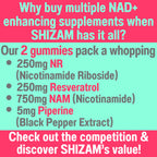 SHIZAM Nicotinamide Riboside NAD+ Gummies - 60 Count - image 2