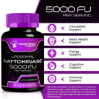 WELLNESS LABSRX Nattokinase Supplement 5000 FU - 120 Capsules - image 6