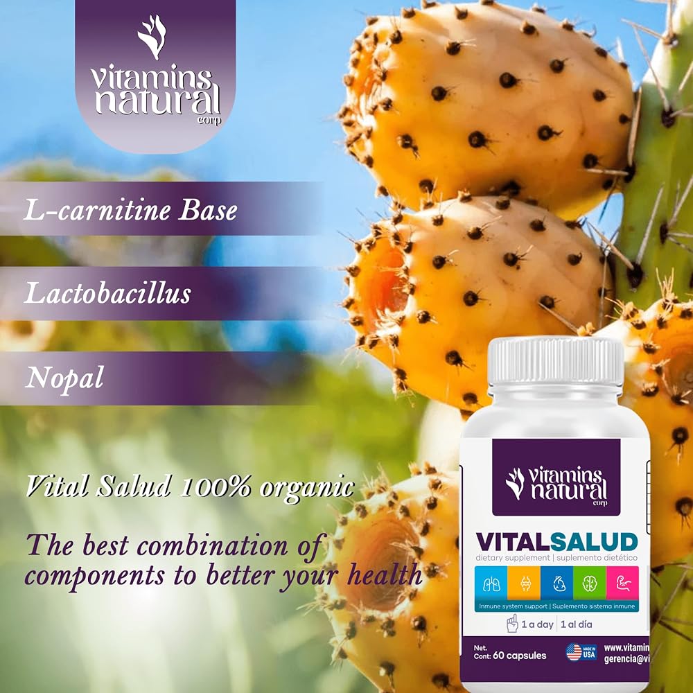 VITAMINS NATURAL CORP Probiotic Digestive Supplement - 60 Capsules - image 4