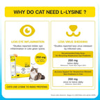 VFCARE L-Lysine for Cats 250mg Immune Support - 30 Sachets - image 4