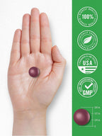 Carlyle Kids Melatonin Gummies - 100 Count - image 7