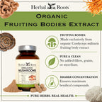 Herbal Roots Organic Mushroom Capsules Immune Support - 60 Vegan Capsules - image 4