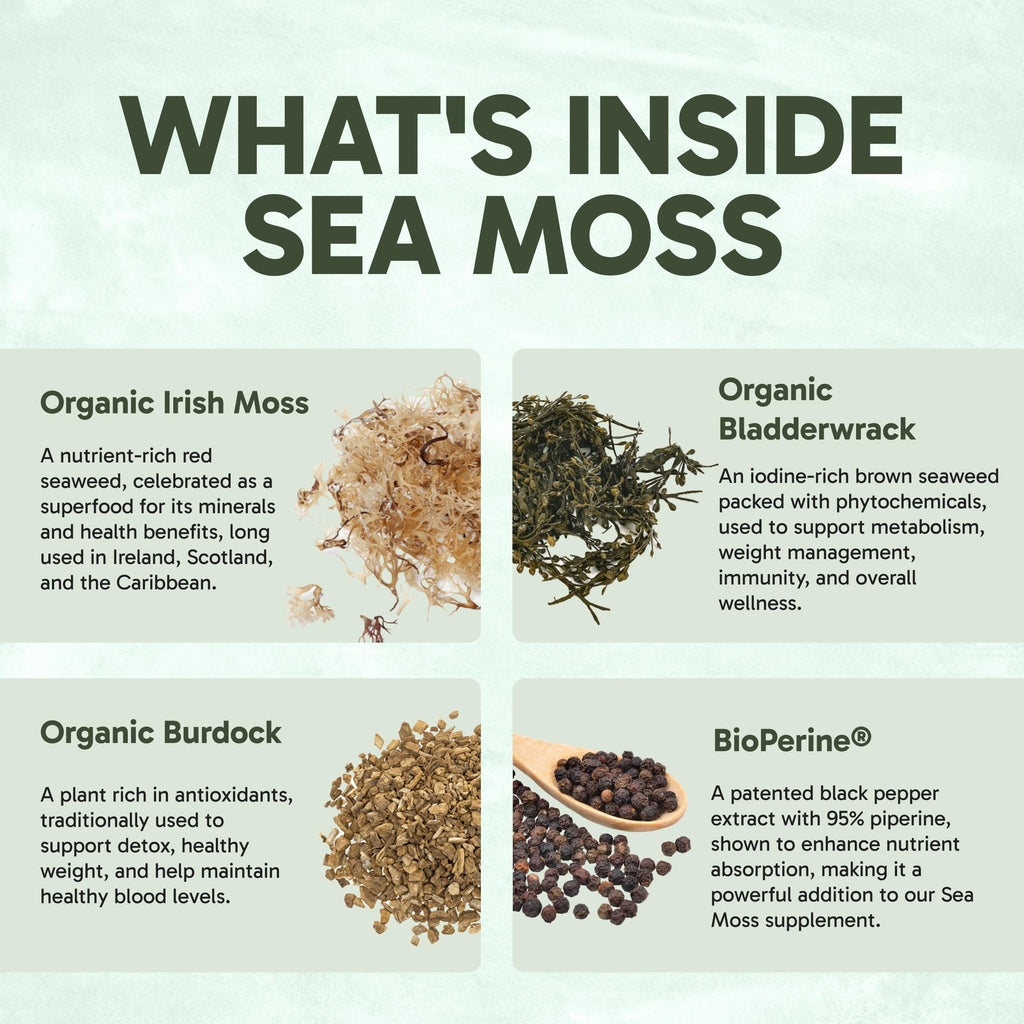 Clinical Effects Sea Moss Organic Capsules with Bladderwrack - 60 Capsules - image 5