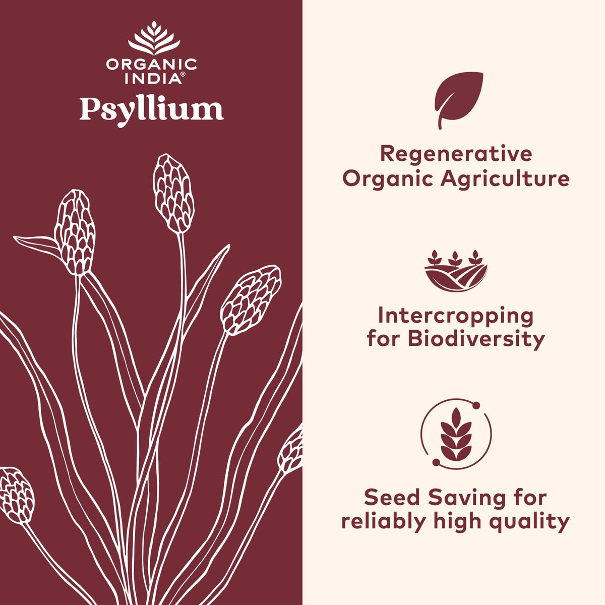 ORGANIC INDIA Psyllium Herbal Powder - Whole Husk Fiber