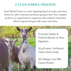 Mt. Capra Clean Whole Protein Powder - 400 g - image 4