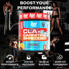 BPI Sports CLA + Carnitine Shredded Supports Lean Muscle & Promotes - image 5