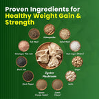 Mushroomex Mushroom Powder Ayurvedic Weight Gainer - 100g - image 4