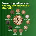 Mushroomex Mushroom Powder Ayurvedic Weight Gainer - 100g - image 4
