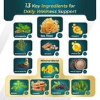 GriMed Sea Moss Complex 9-in-1 with Bladderwrack - 150 Capsules - image 4