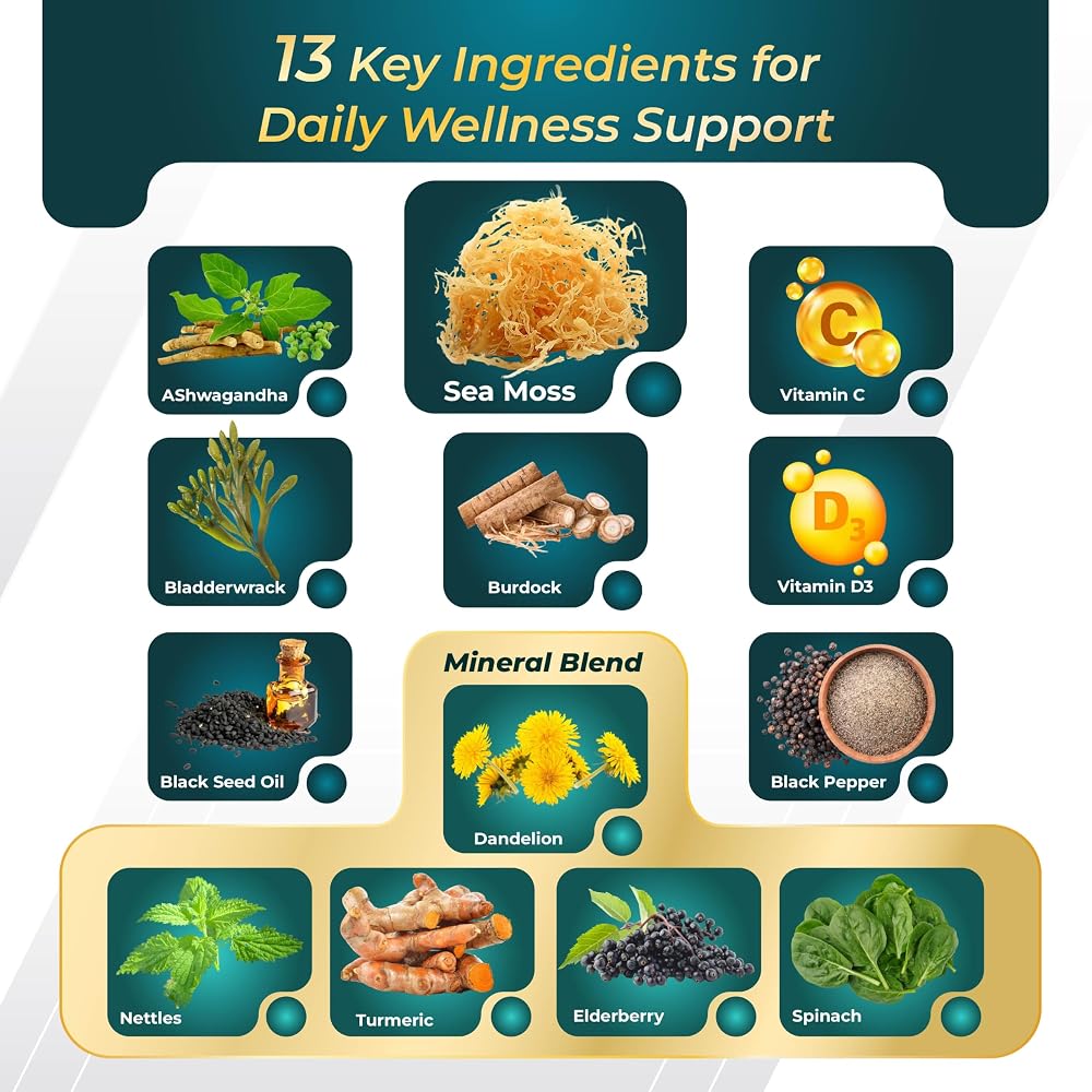 GriMed Sea Moss Complex 9-in-1 with Bladderwrack - 150 Capsules - image 4