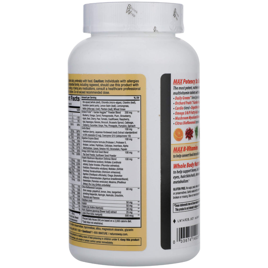 Nature's Way Alive With Iron Multivitamin - 180 Tablets - image 2