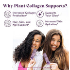 Copina Co. Vanilla Vegan Collagen Booster Creamer - 25 ct - image 5