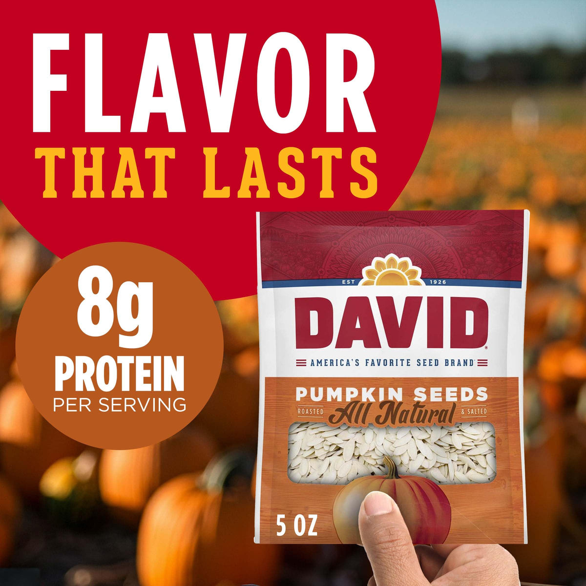 David All Natural Pumpkin Seeds, Salted & Roasted - Pack of 12 - image 3