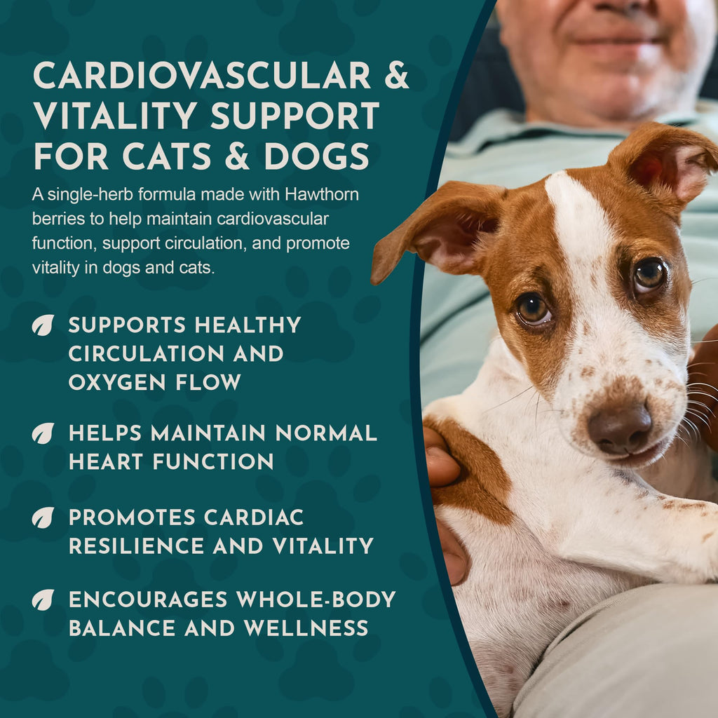 Animal Essentials Hawthorn Berry Supplement for Dogs & Cats - 1 fl Oz - image 6