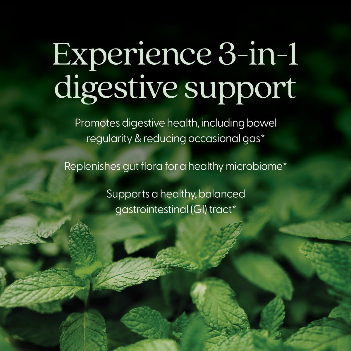 New Chapter Probiotic All-Flora - for Advanced Immune Support