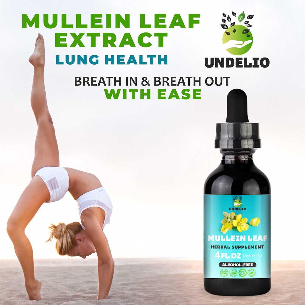 Undelio Herbal Mullein Leaf Extract Tincture - 4 fl. Oz - image 7