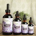 Earthley Elderberry Herbal Extract