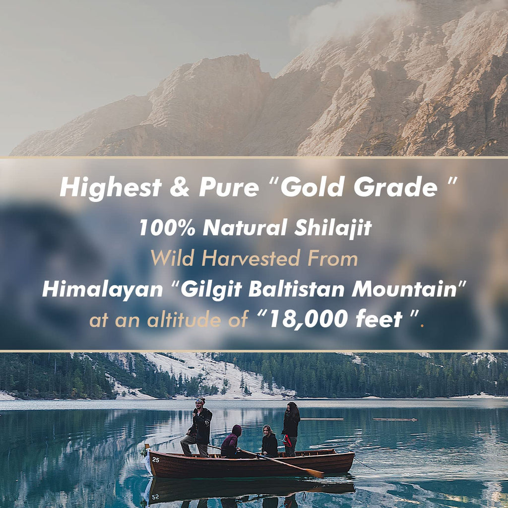 Hima Shilajatu Shilajit Purest Himalayan Organic Shilajit Resin