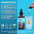 Clean Nutraceuticals Lymphatic Drainage Drops - 2 Fl Oz - image 6