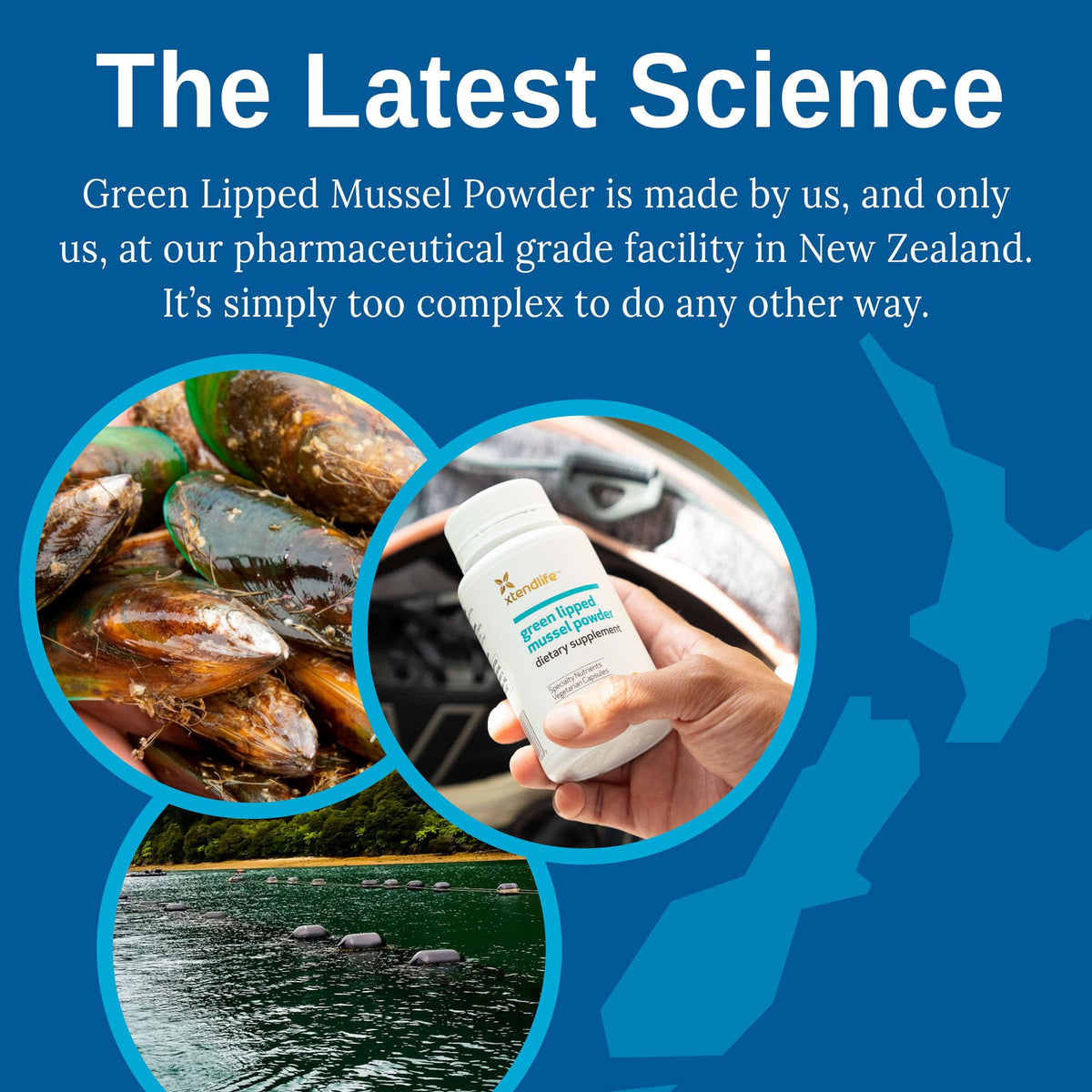 Xtendlife Green Lipped Mussel Joint Support - 120 Capsules - image 5