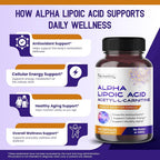 HarmoVira Alpha Lipoic Acid 8-in-1 Formula Cellular Wellness - 180 Capsules - image 4