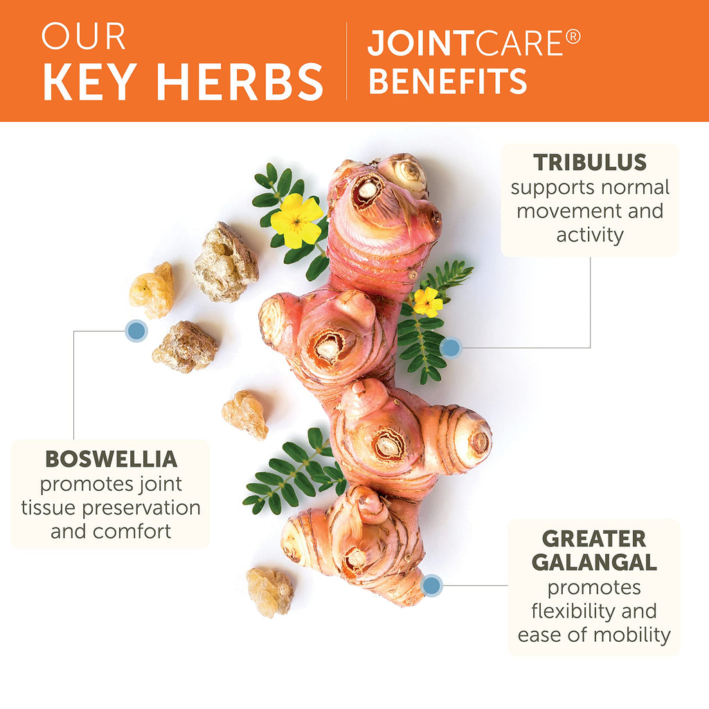 Himalaya JointCare with Boswellia Joint Supplement - 120 Capsules - image 3