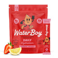WaterBoy Daily Hydration, Sugar Free Electrolytes