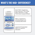 MAAC10 Formulas - NAD+