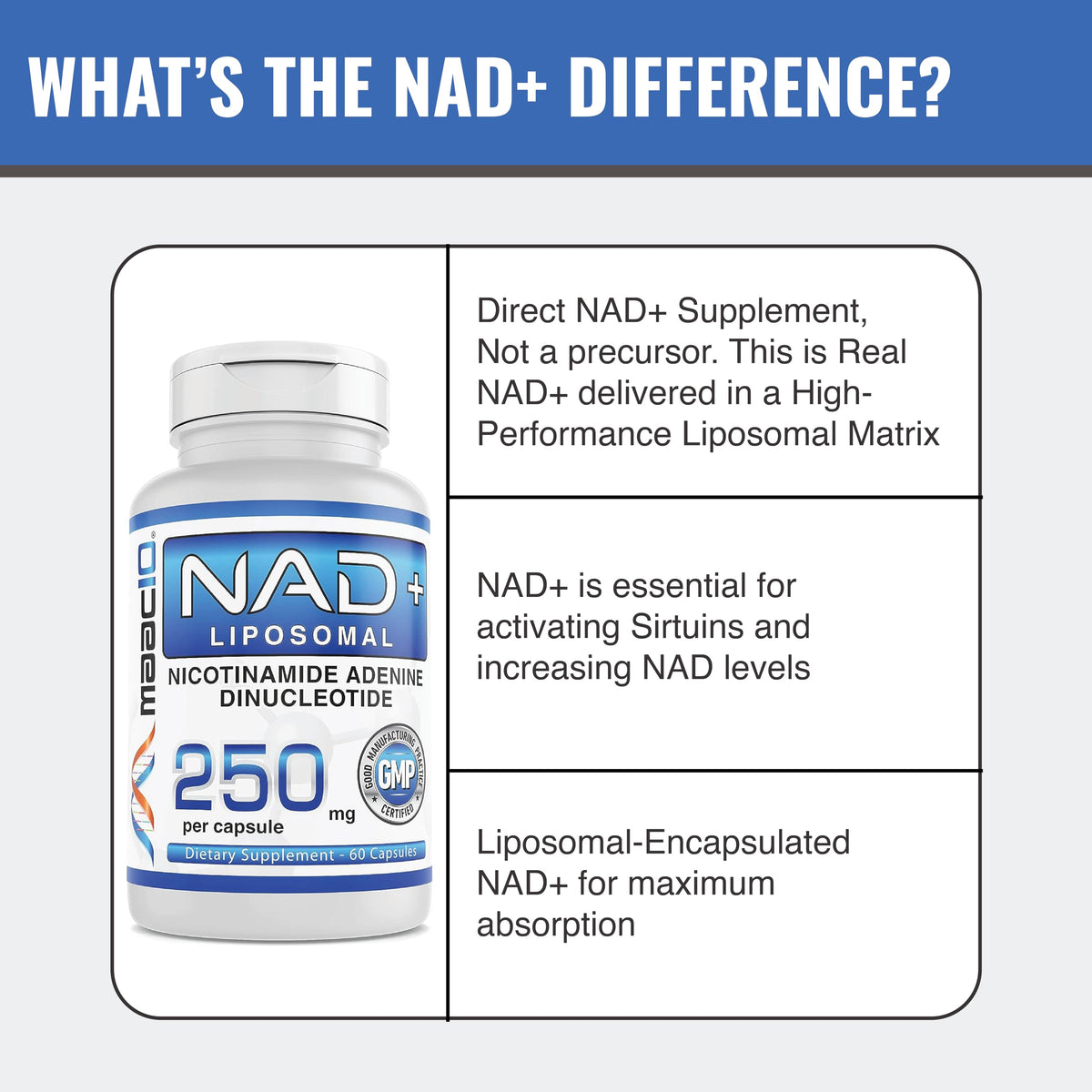 MAAC10 Formulas - NAD+