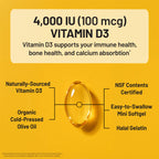 NatureWise Vitamin D3 Supplement, Immune Support