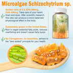 EnvyCure Vegan Omega 3 Gummies