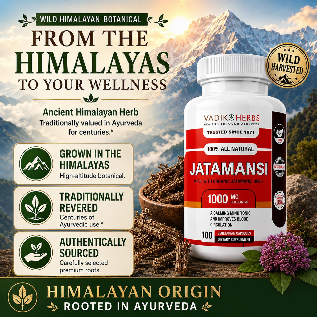 Vadik Herbs Jatamansi Capsules 1000mg for Sleep - 100 Vegetarian Capsules - image 5
