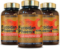 Nature's Bioscience Fucoidan Phoenix Advanced Mushroom - 480 Capsules