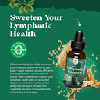 Natures Craft Organic Lymphatic Drainage Drops - 2 Fl Oz - image 3
