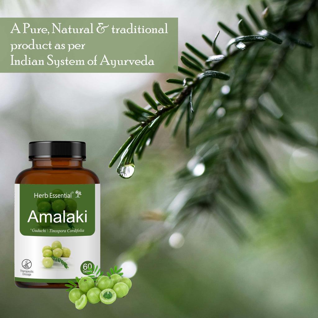 Herb Essential Amla Tablets 500mg - 100 Tablets - image 3