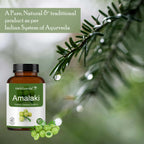 Herb Essential Amla Tablets 500mg - 100 Tablets - image 3