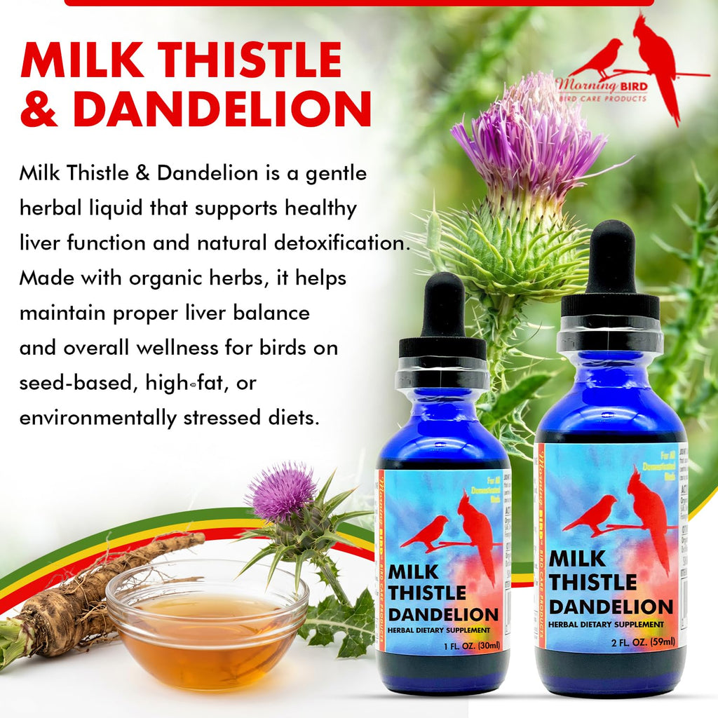 Morning Bird Milk Thistle & Dandelion Extract Liver Support - 1 fl oz - image 2