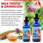 Morning Bird Milk Thistle & Dandelion Extract Liver Support - 1 fl oz - image 2