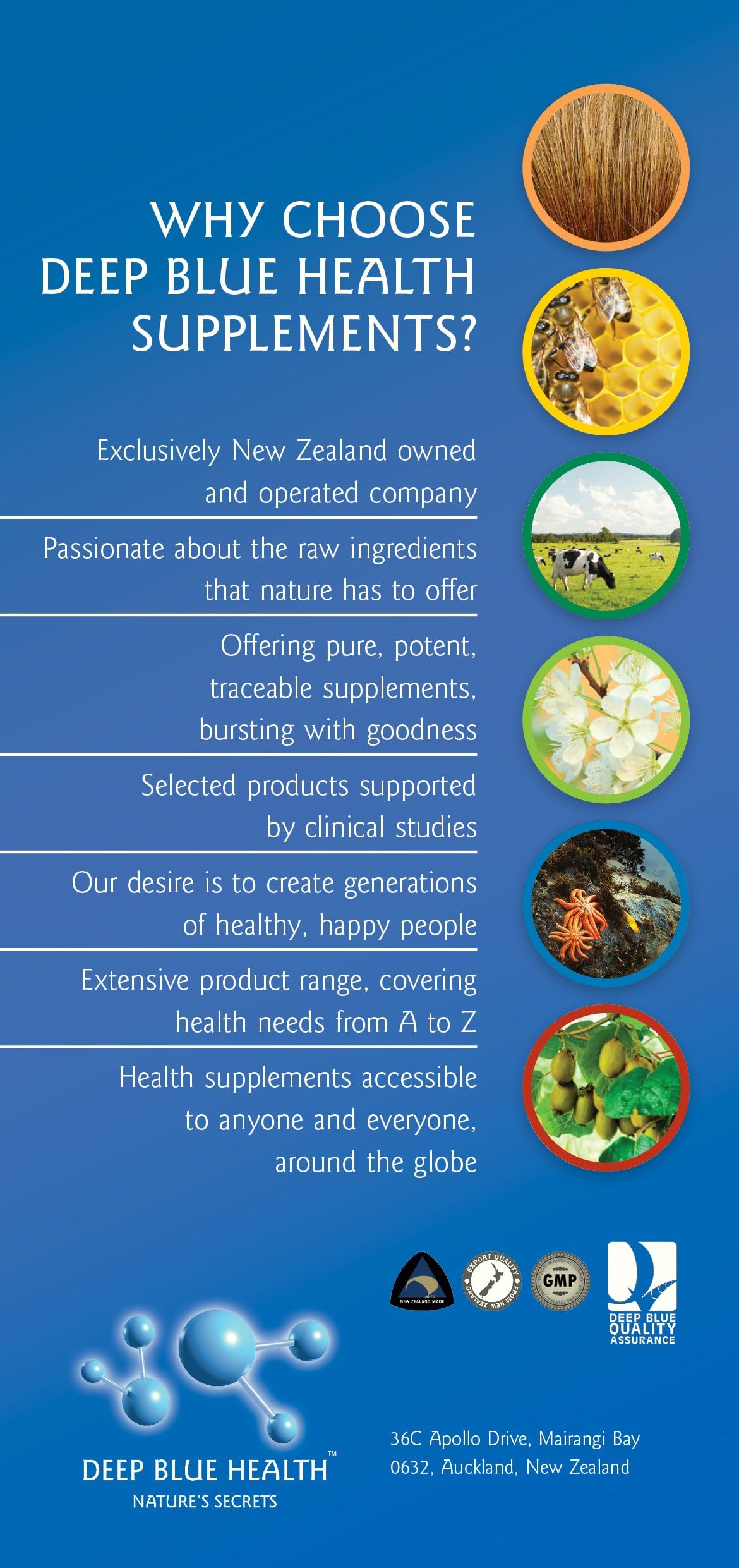 Deep Blue Health Sea Cucumber 500mg - 90 Capsules - image 2
