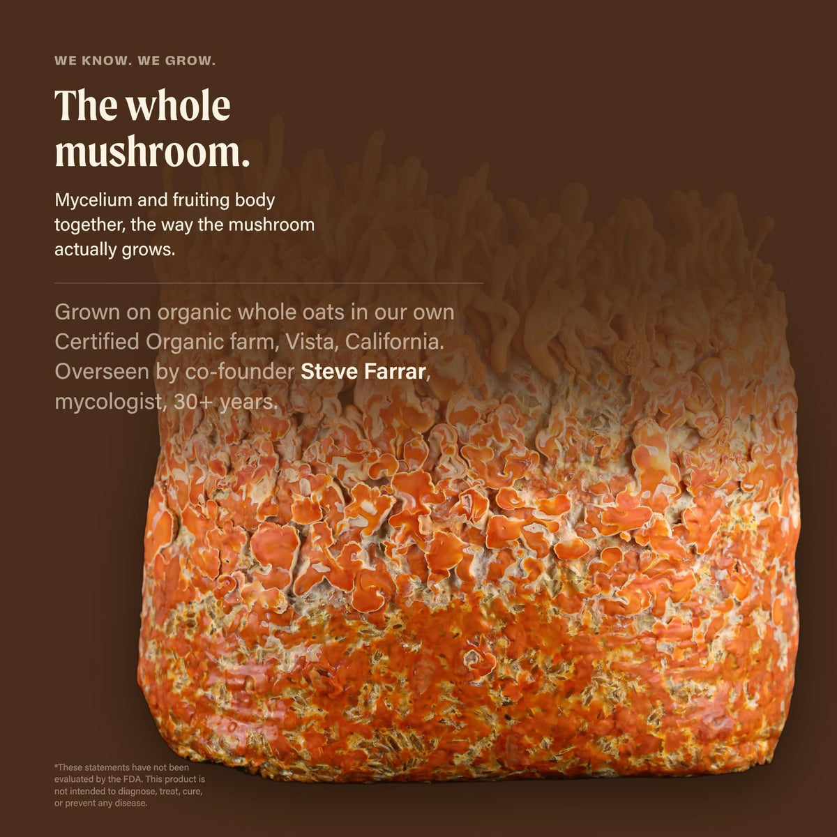 OM MUSHROOM SUPERFOOD Cordyceps Mushroom Capsules for Energy - 90 Capsules - image 4