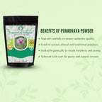 AYURVEDASHREE Punarnava Powder - 200g - image 5
