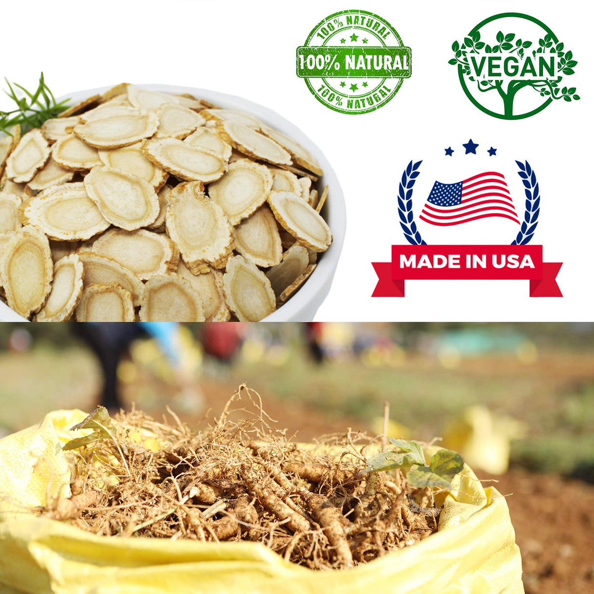 DABC OAK LAND American Ginseng Slices from Wisconsin