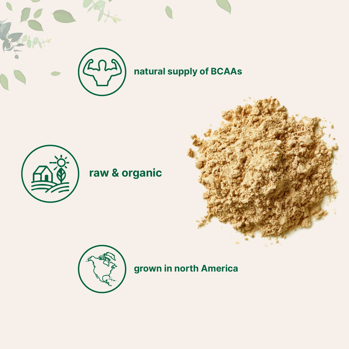 Micro Ingredients Organic Pea Protein Powder - 1 kg - image 4